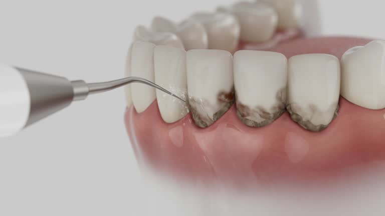 Reliable Dental contractor in Bainbridge, OH by Dentist Open Now